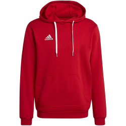 adidas Entrada 22 Hoodie Herren tepore L