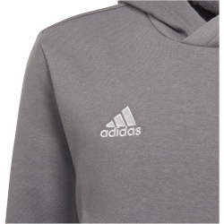 adidas Entrada 22 Hoodie Kinder tegrfo 116