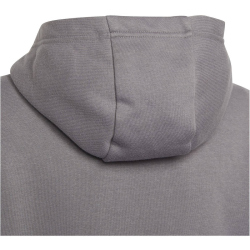 adidas Entrada 22 Hoodie Kinder tegrfo 116