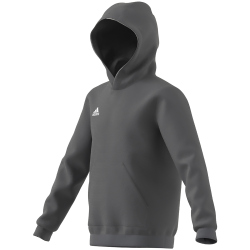 adidas Entrada 22 Hoodie Kinder tegrfo 116