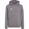 adidas Entrada 22 Hoodie Kinder tegrfo 116