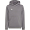 adidas Entrada 22 Hoodie Kinder tegrfo 116
