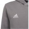 adidas Entrada 22 Hoodie Kinder tegrfo 116