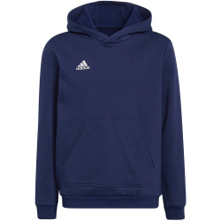 adidas Entrada 22 Hoodie Kinder tenabl 116
