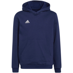 adidas Entrada 22 Hoodie Kinder tenabl 116