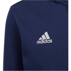 adidas Entrada 22 Hoodie Kinder tenabl 116