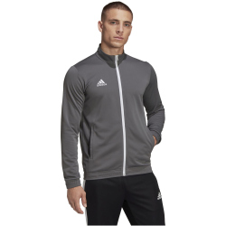 adidas Entrada 22 Trainingsjacke Herren tegrfo S