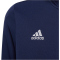adidas Entrada 22 Trainingsjacke Kinder tenabl 116