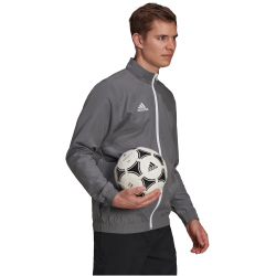 adidas Entrada 22 Pr&auml;sentationsjacke Herren AE2C - tegrfo XS