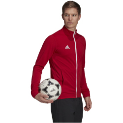 adidas Entrada 22 Trainingsjacke Herren tepore XS