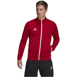 adidas Entrada 22 Trainingsjacke Herren tepore S