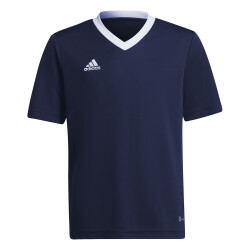 adidas Entrada 22 Trikot Kinder tenabl 116