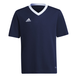 adidas Entrada 22 Trikot Kinder tenabl 140