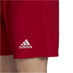adidas Entrada 22 Fu&szlig;ball Shorts Herren AEPU - tepore S