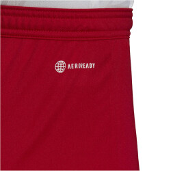 adidas Entrada 22 Fußball Shorts Herren AEPU - tepore XL