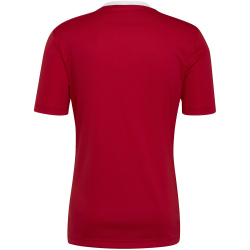 adidas Entrada 22 Trikot Herren tepore S