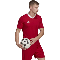 adidas Entrada 22 Trikot Herren tepore S
