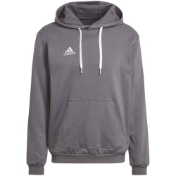 adidas Entrada 22 Hoodie Herren tegrfo XS