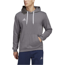 adidas Entrada 22 Hoodie Herren tegrfo XS