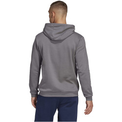 adidas Entrada 22 Hoodie Herren tegrfo XS