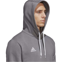 adidas Entrada 22 Hoodie Herren tegrfo XS