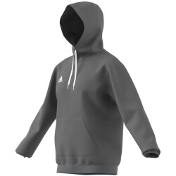 adidas Entrada 22 Hoodie Herren tegrfo XS
