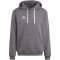 adidas Entrada 22 Hoodie Herren tegrfo XS