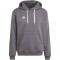 adidas Entrada 22 Hoodie Herren tegrfo XS