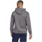 adidas Entrada 22 Hoodie Herren tegrfo XS