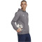 adidas Entrada 22 Hoodie Herren tegrfo XS