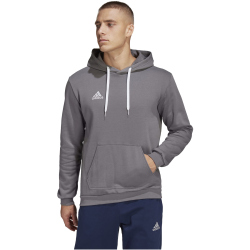 adidas Entrada 22 Hoodie Herren tegrfo S