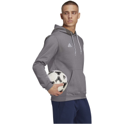 adidas Entrada 22 Hoodie Herren tegrfo S