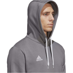 adidas Entrada 22 Hoodie Herren tegrfo S