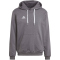adidas Entrada 22 Hoodie Herren tegrfo S