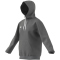 adidas Entrada 22 Hoodie Herren tegrfo S