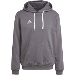 adidas Entrada 22 Hoodie Herren tegrfo XL