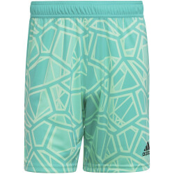 adidas Condivo 22 Torwartshorts Herren minrus M