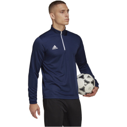 adidas Entrada 22 1/4-Zip Trainings-Top Herren AEQ1 - tenabl M