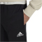 adidas Entrada 22 Trainingshose Herren 095A - black XL