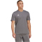 adidas Entrada 22 T-Shirt Herren tegrfo XS