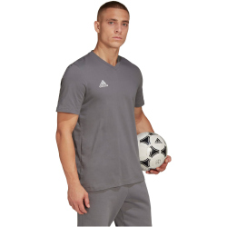 adidas Entrada 22 T-Shirt Herren tegrfo M