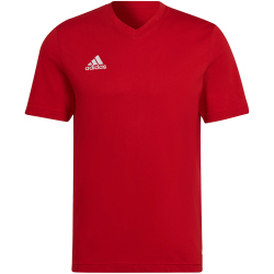 adidas Entrada 22 T-Shirt Herren tepore L