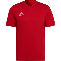 adidas Entrada 22 T-Shirt Herren tepore 3XL