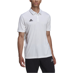 adidas Entrada 22 Poloshirt Herren white XXL