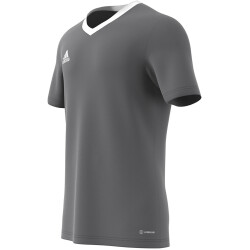 adidas Entrada 22 Trikot Herren tegrfo XS