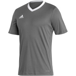 adidas Entrada 22 Trikot Herren tegrfo XS