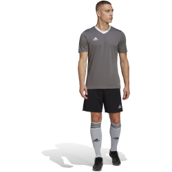 adidas Entrada 22 Trikot Herren tegrfo XS