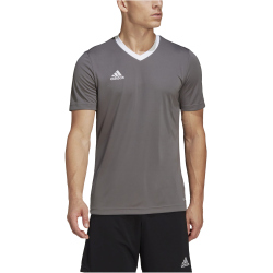 adidas Entrada 22 Trikot Herren tegrfo S