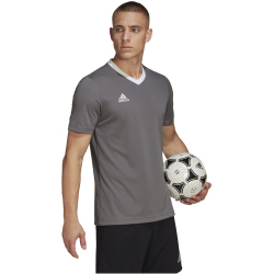 adidas Entrada 22 Trikot Herren tegrfo S