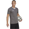 adidas Entrada 22 Trikot Herren tegrfo S